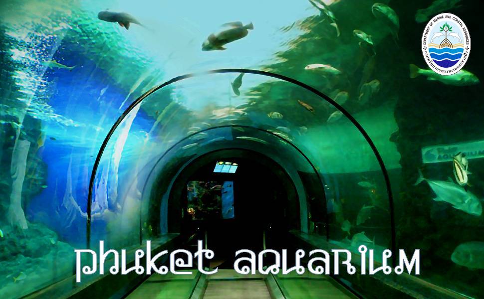 Bild: Meeresaquarium in Panwa (Phuket)