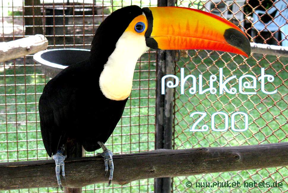 Bild: Phuket Zoo